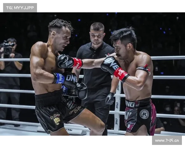 踢拳世界顶级赛事(踢拳最新世界排名)